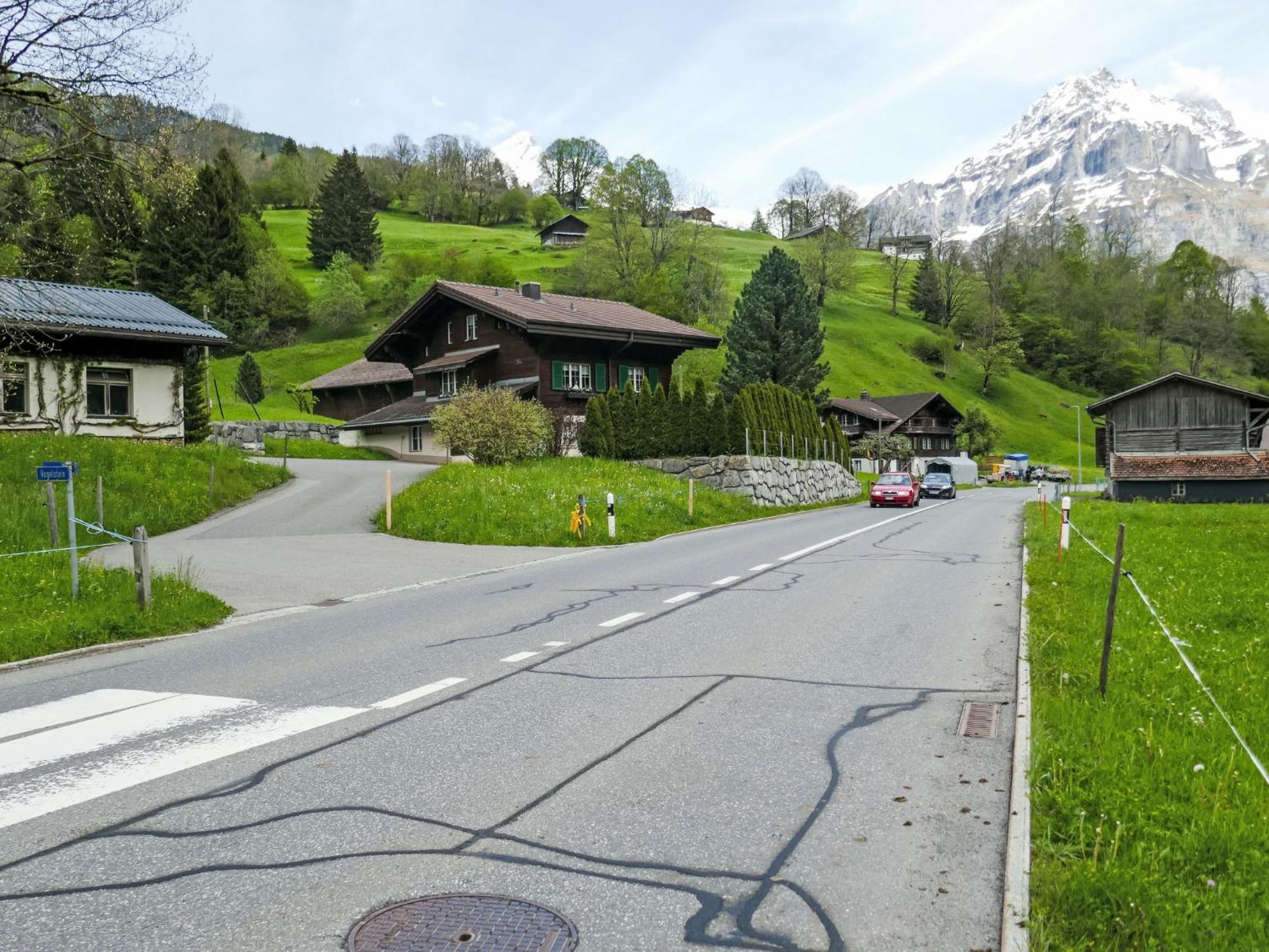 Apartment Chalet Auf Dem Vogelstein-1 By Interhome Grindelwald Esterno foto