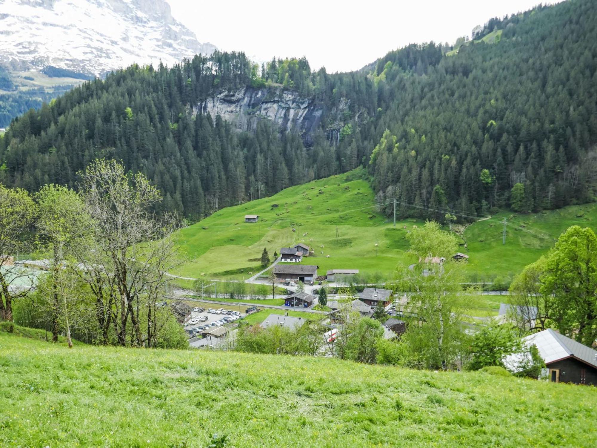 Apartment Chalet Auf Dem Vogelstein-1 By Interhome Grindelwald Esterno foto