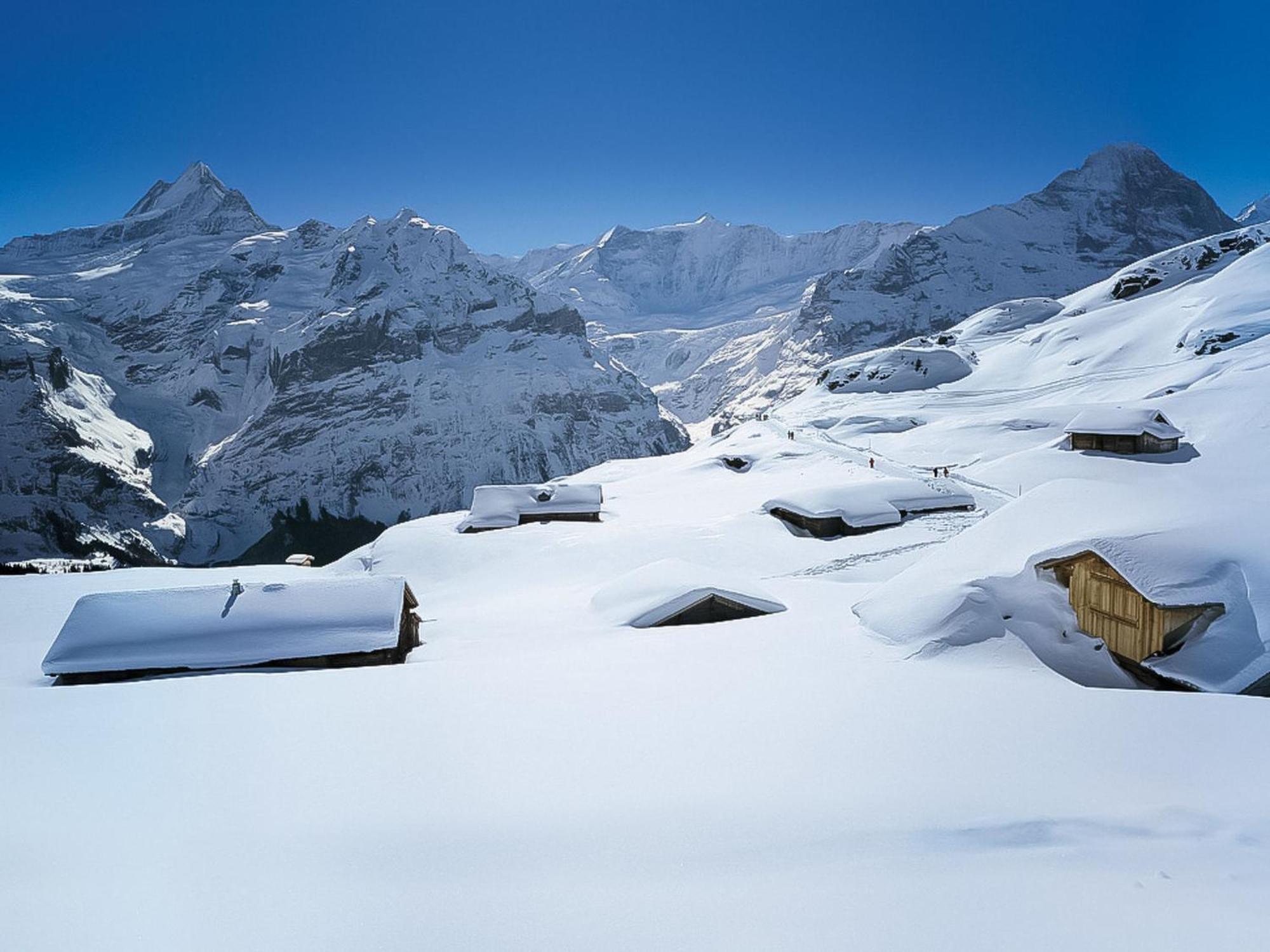 Apartment Chalet Auf Dem Vogelstein-1 By Interhome Grindelwald Esterno foto