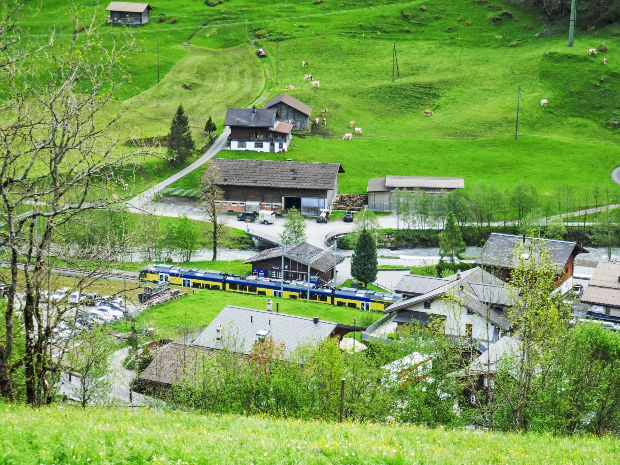 Apartment Chalet Auf Dem Vogelstein-1 By Interhome Grindelwald Esterno foto