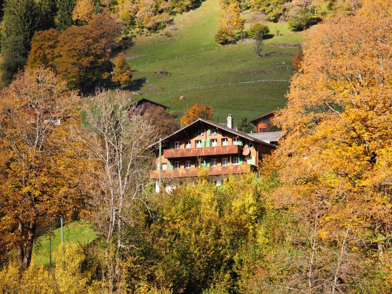 Apartment Chalet Auf Dem Vogelstein-1 By Interhome Grindelwald Esterno foto